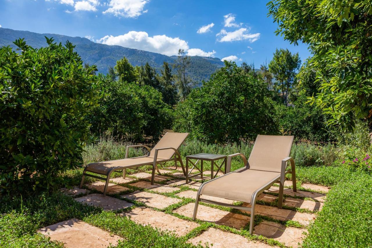Finca Ca'S Curial - Agroturismo - Adults Only Sóller Eksteriør bilde