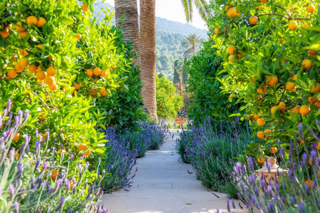 Finca Ca'S Curial - Agroturismo - Adults Only Sóller Eksteriør bilde