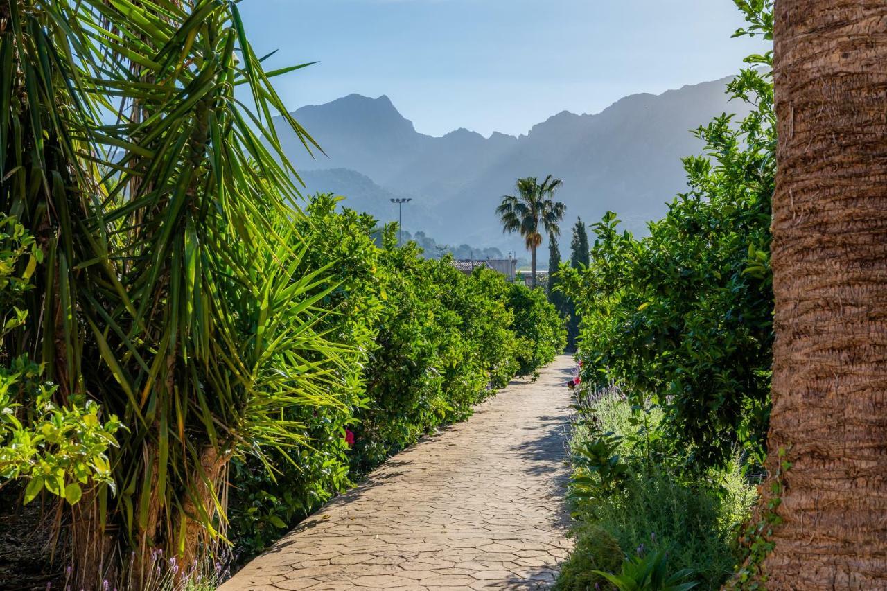 Finca Ca'S Curial - Agroturismo - Adults Only Sóller Eksteriør bilde
