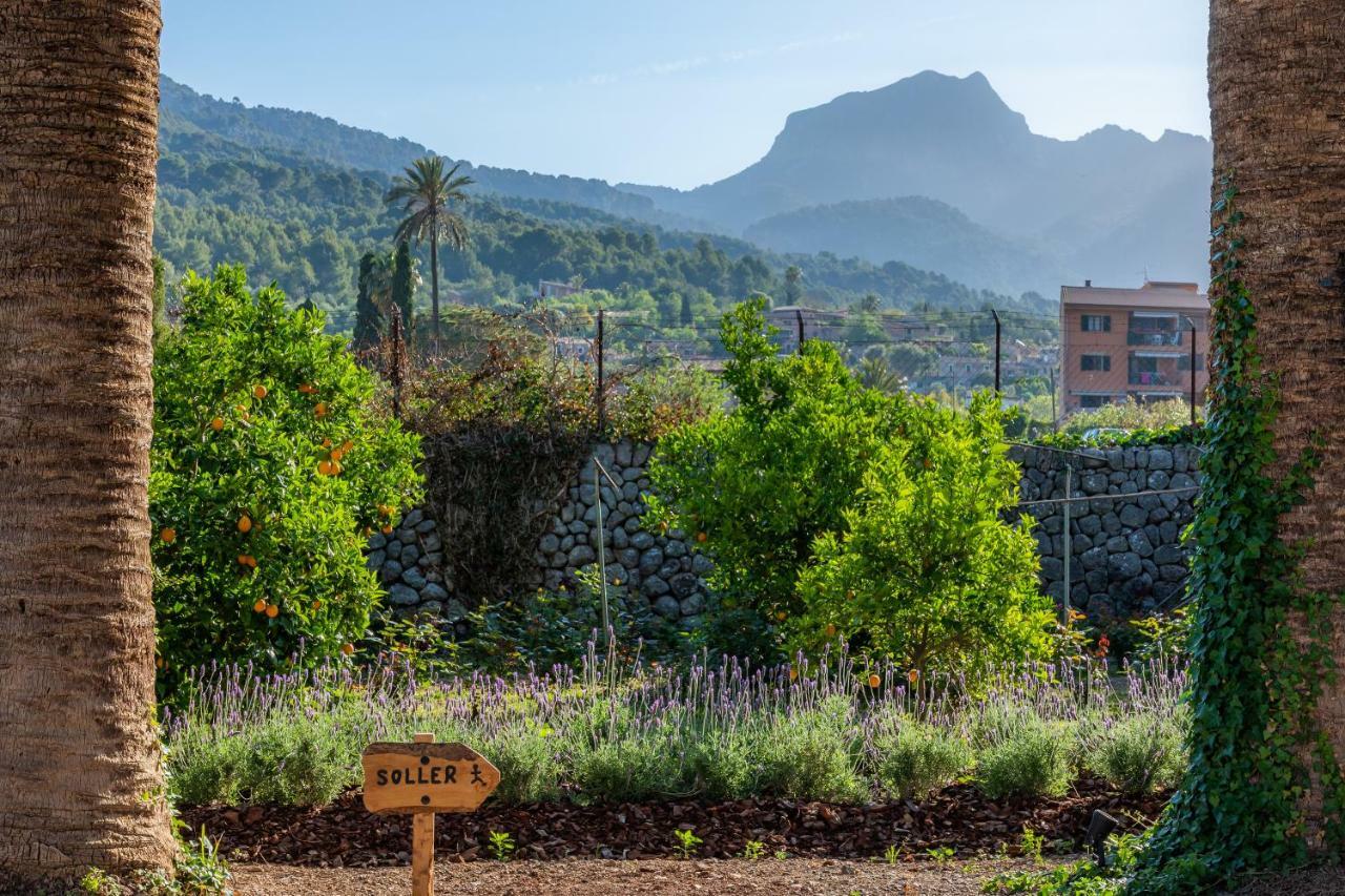 Finca Ca'S Curial - Agroturismo - Adults Only Sóller Eksteriør bilde